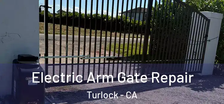 Electric Arm Gate Repair Turlock - CA