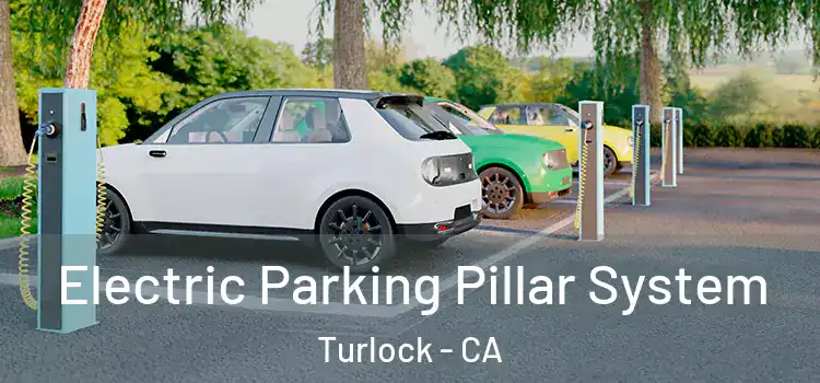 Electric Parking Pillar System Turlock - CA
