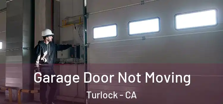  Garage Door Not Moving Turlock - CA