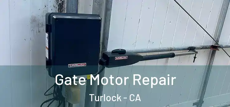 Gate Motor Repair Turlock - CA